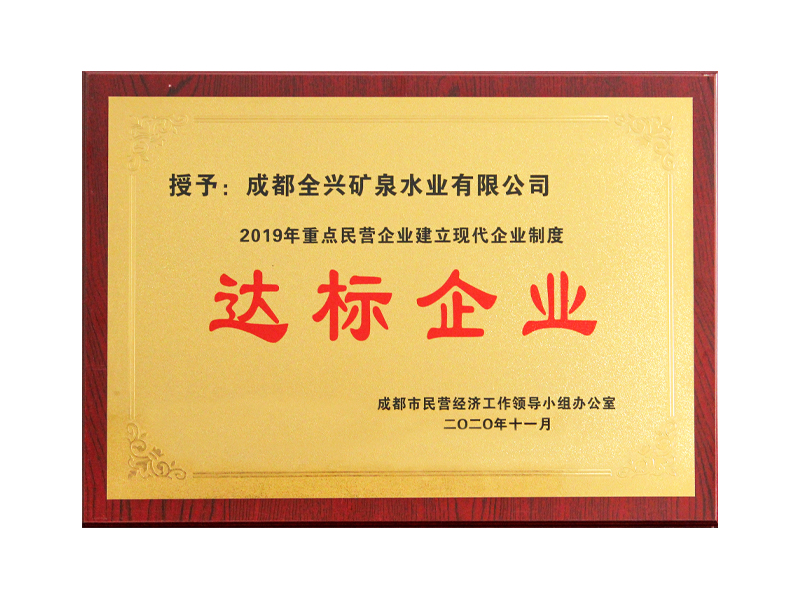 2019年重點民營企業(yè)建立現(xiàn)代企業(yè)制度達標(biāo)企業(yè)